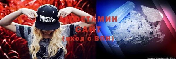 индика Коряжма