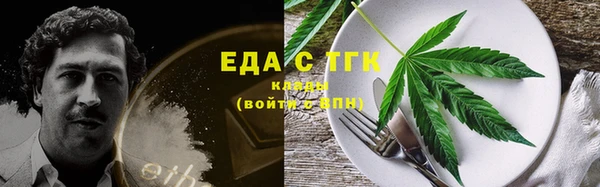 стаф Корсаков