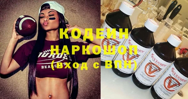 стаф Корсаков
