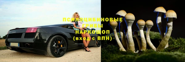 тгк Костерёво