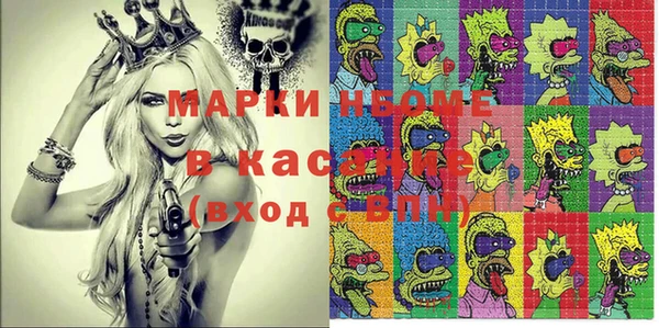индика Коряжма