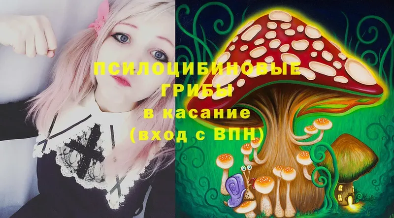 Галлюциногенные грибы Psilocybe  Сызрань 