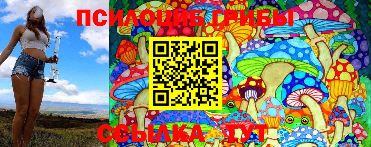 Псилоцибиновые грибы MAGIC MUSHROOMS Сызрань