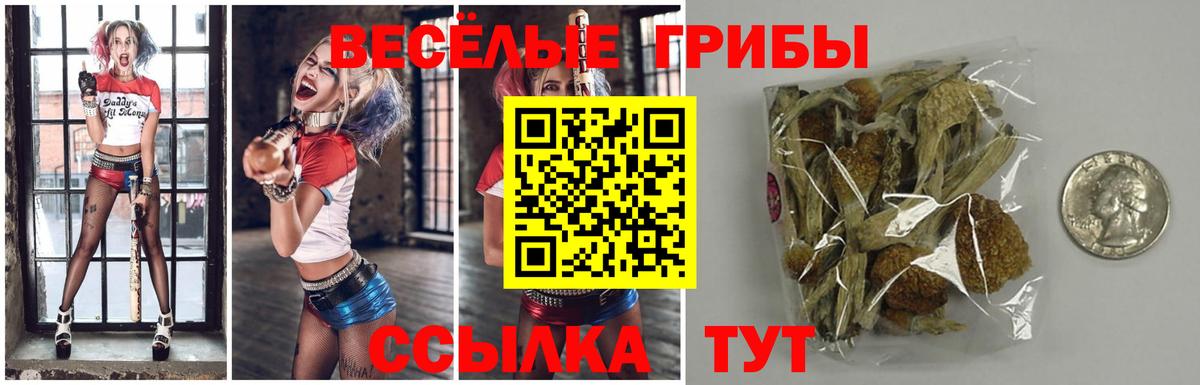 Псилоцибиновые грибы прущие грибы  Псилоцибиновые грибы Psilocybe  Вход с VPN  как найти наркотики  Сызрань 